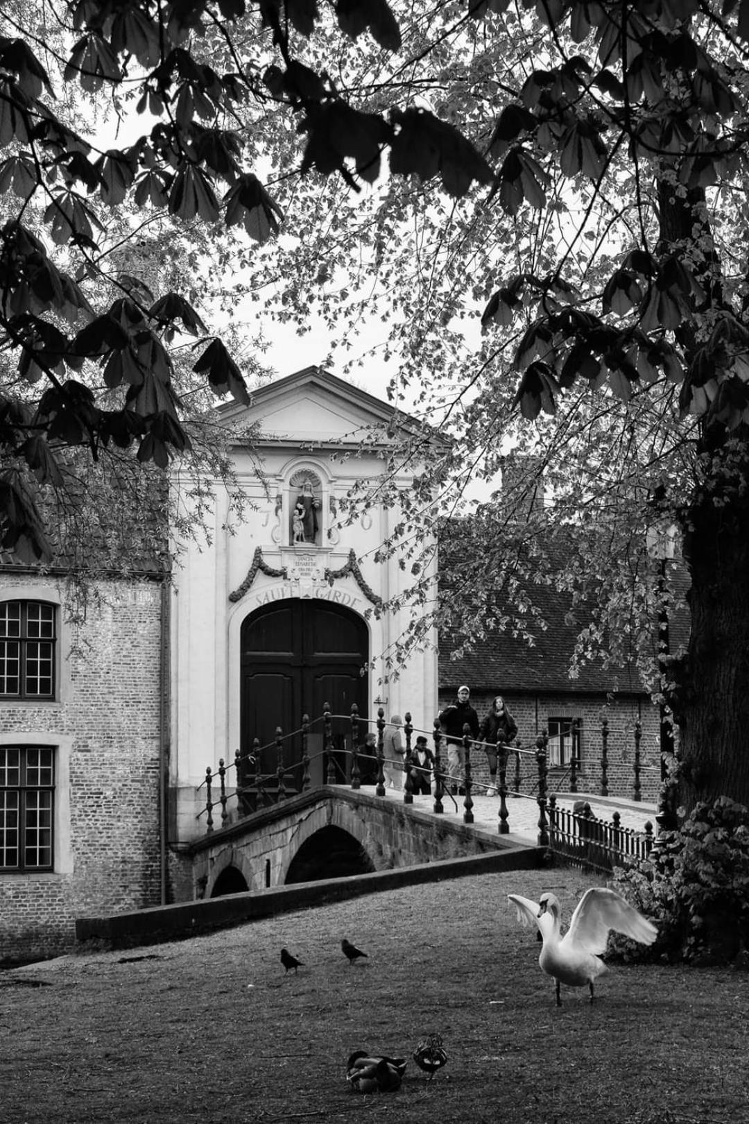 Couette-café In Lace Bruges