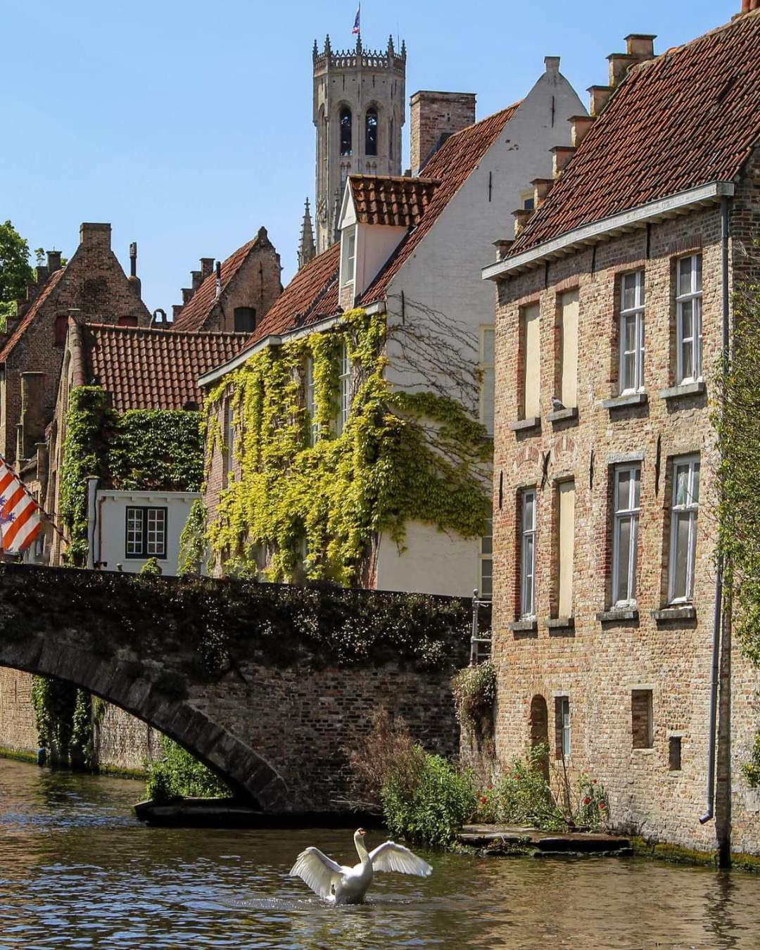 In Lace * Brugge