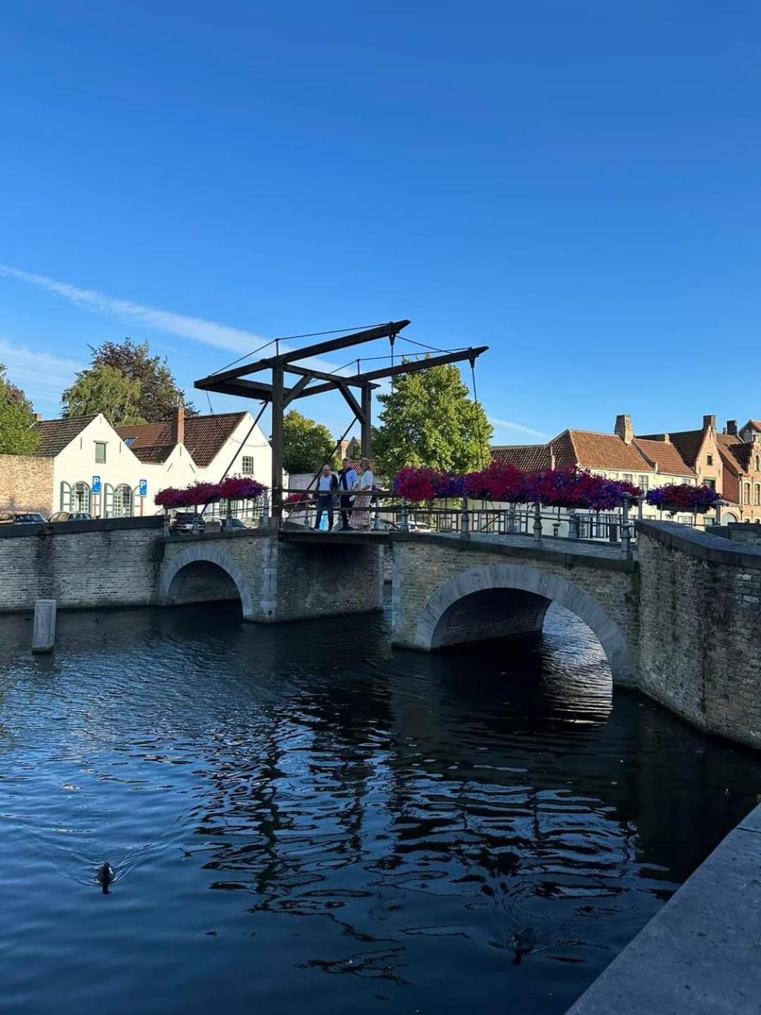 In Lace Brugge